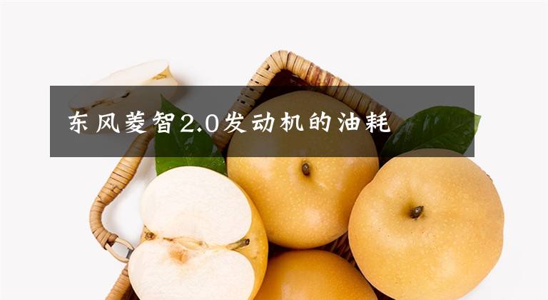 東風(fēng)菱智2.0發(fā)動(dòng)機(jī)的油耗