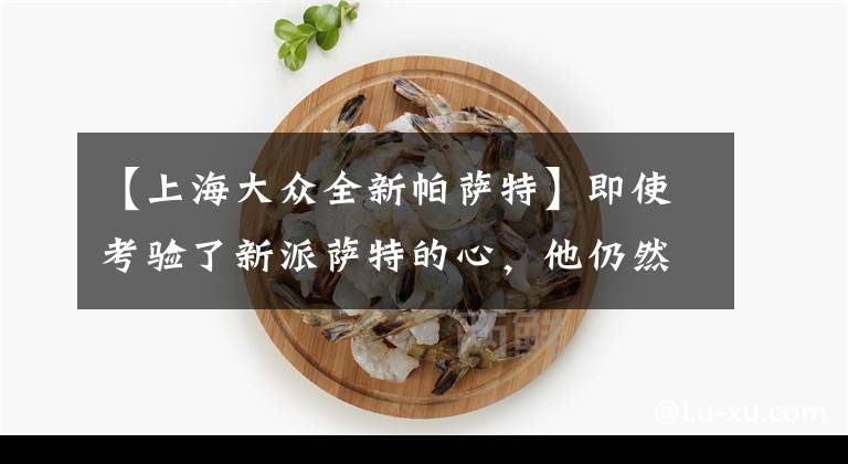 【上海大眾全新帕薩特】即使考驗了新派薩特的心，他仍然誠實地走著。