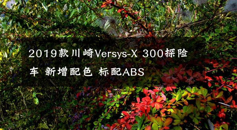 2019款川崎Versys-X 300探險車 新增配色 標(biāo)配ABS