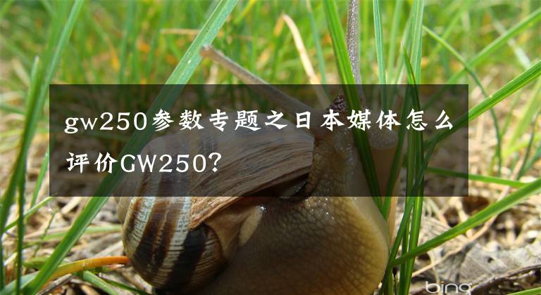 gw250參數(shù)專題之日本媒體怎么評(píng)價(jià)GW250？