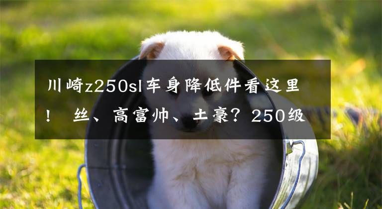 川崎z250sl車身降低件看這里!屌絲、高富帥、土豪？250級街車型摩托對比