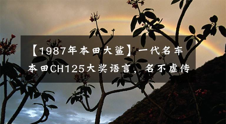 【1987年本田大鯊】一代名車本田CH125大獎語言，名不虛傳