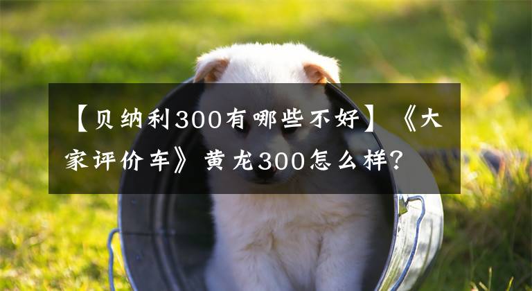 【貝納利300有哪些不好】《大家評(píng)價(jià)車(chē)》黃龍300怎么樣？