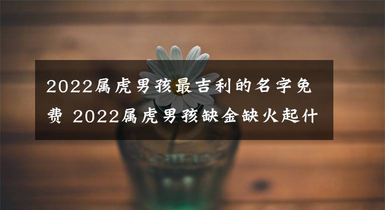 2022屬虎男孩最吉利的名字免費(fèi) 2022屬虎男孩缺金缺火起什么名字