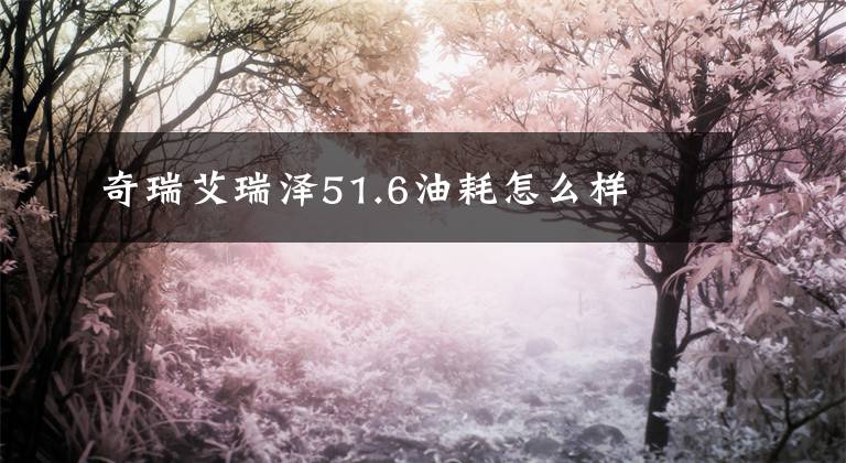 奇瑞艾瑞澤51.6油耗怎么樣