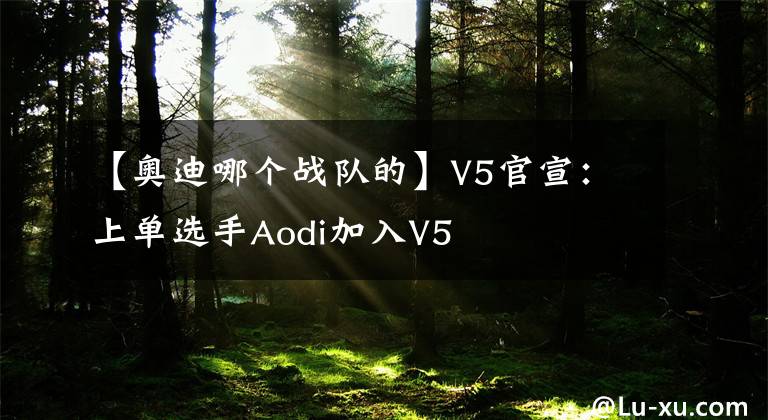 【奧迪哪個(gè)戰(zhàn)隊(duì)的】V5官宣：上單選手Aodi加入V5