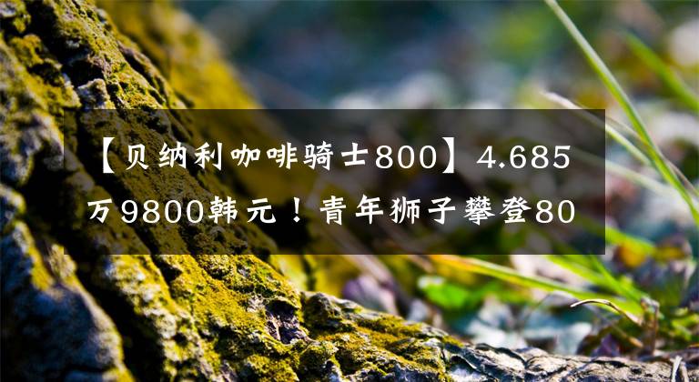 【貝納利咖啡騎士800】4.685萬(wàn)9800韓元！青年獅子攀登800只，咖啡銷售價(jià)格公布500只。