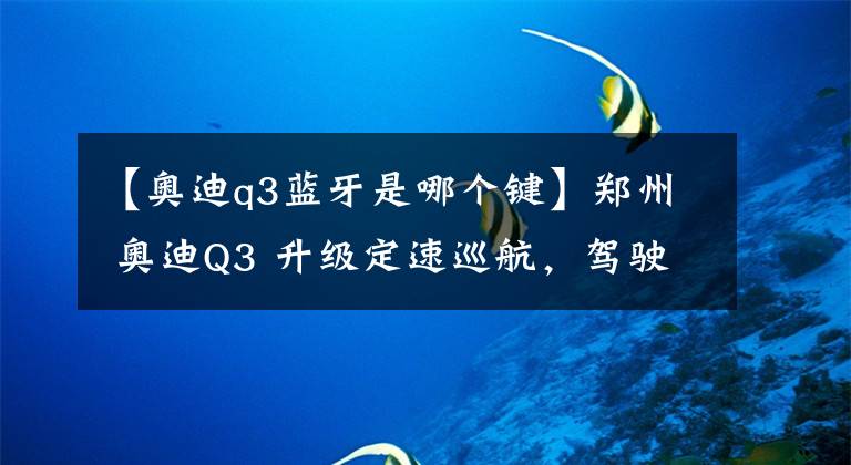 【奧迪q3藍(lán)牙是哪個鍵】鄭州 奧迪Q3 升級定速巡航，駕駛模式，藍(lán)牙電話。刷隱藏功能