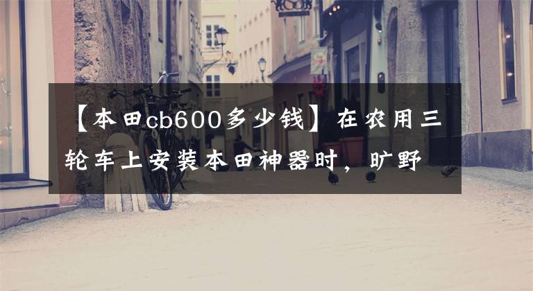 【本田cb600多少錢】在農(nóng)用三輪車上安裝本田神器時，曠野很快就結(jié)冰了。