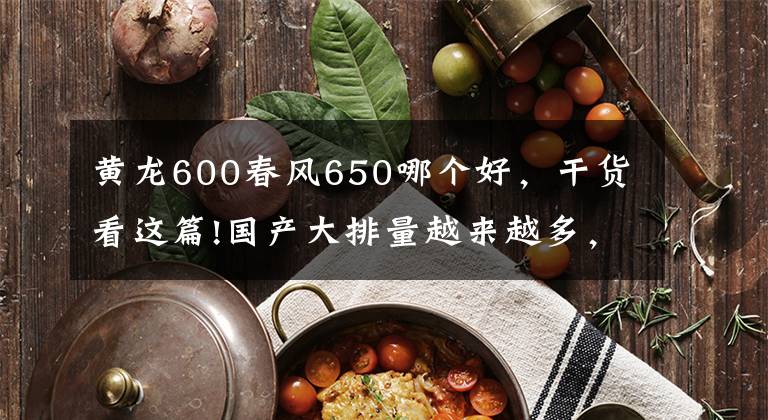 黃龍600春風(fēng)650哪個(gè)好，干貨看這篇!國產(chǎn)大排量越來越多，這10款車型中有你喜歡的嗎？