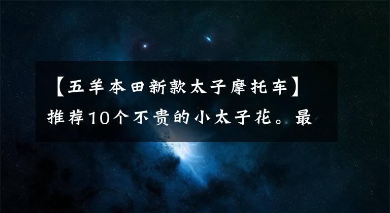 【五羊本田新款太子摩托車】推薦10個不貴的小太子花。最便宜的是5000