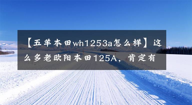 【五羊本田wh1253a怎么樣】這么多老歐陽本田125A，肯定有你坐過的。