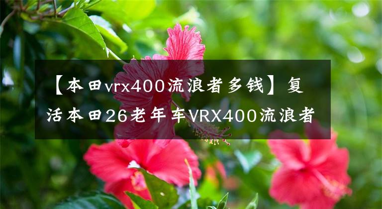 【本田vrx400流浪者多錢】復(fù)活本田26老年車VRX400流浪者