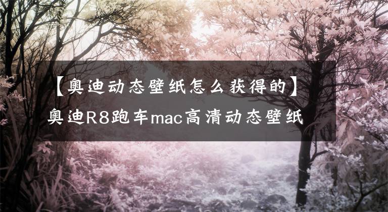 【奧迪動態(tài)壁紙?jiān)趺传@得的】奧迪R8跑車mac高清動態(tài)壁紙