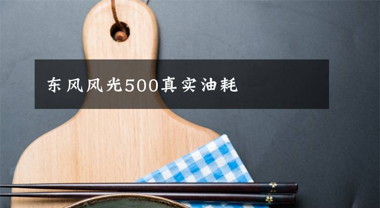 東風(fēng)風(fēng)光500真實油耗