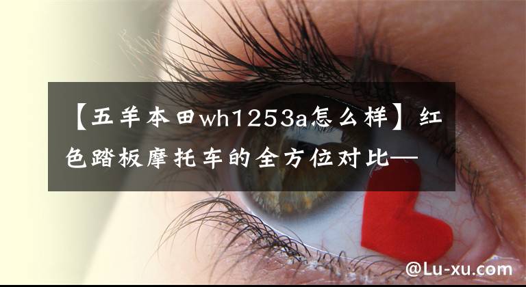 【五羊本田wh1253a怎么樣】紅色踏板摩托車的全方位對(duì)比——?dú)W陽本田嘉英大學(xué)豪作鈴木海王星