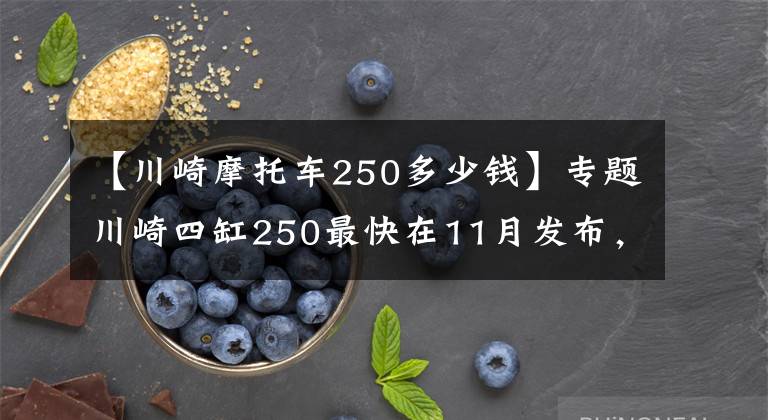 【川崎摩托車250多少錢】專題川崎四缸250最快在11月發(fā)布，約合50500元起？