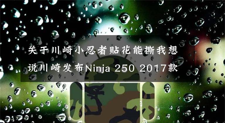 關(guān)于川崎小忍者貼花能撕我想說川崎發(fā)布Ninja 250 2017款配色