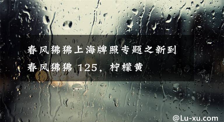 春風(fēng)狒狒上海牌照專題之新到春風(fēng)狒狒 125，檸檬黃