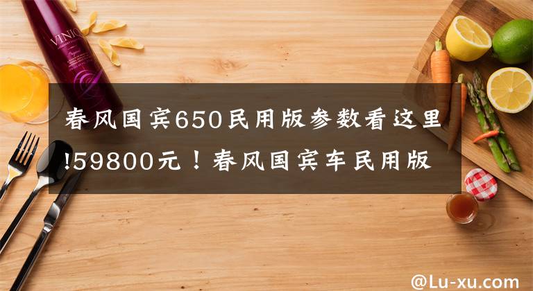 春風(fēng)國(guó)賓650民用版參數(shù)看這里!59800元！春風(fēng)國(guó)賓車民用版650TR-G售價(jià)公布