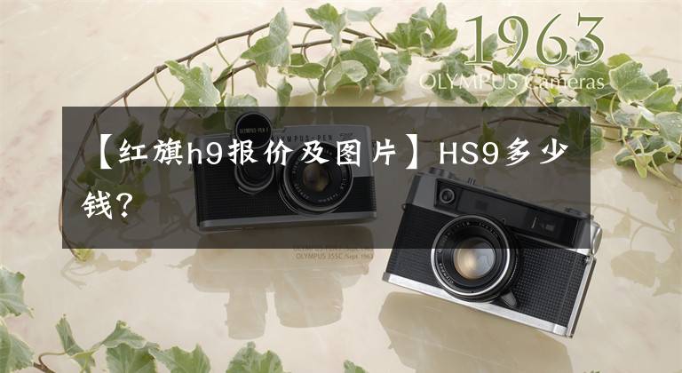 【紅旗h9報(bào)價(jià)及圖片】HS9多少錢？