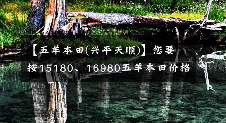 【五羊本田(興平天順)】您要按15180、16980五羊本田價格公布來計算嗎？