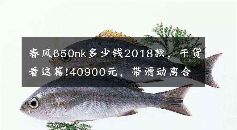 春風(fēng)650nk多少錢(qián)2018款，干貨看這篇!40900元，帶滑動(dòng)離合，春風(fēng)650NK小升級(jí)改款來(lái)了