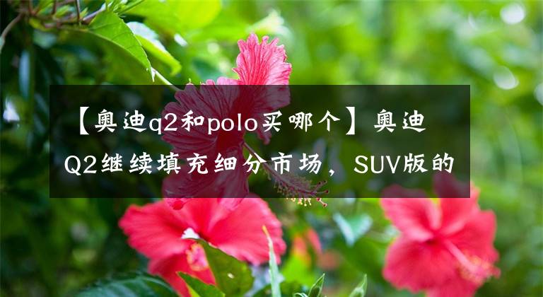 【奧迪q2和polo買哪個(gè)】奧迪Q2繼續(xù)填充細(xì)分市場，SUV版的POLO你覺得怎樣