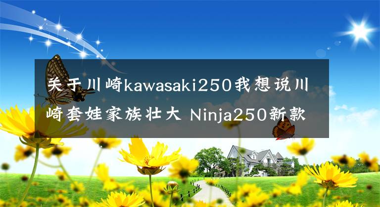 關(guān)于川崎kawasaki250我想說川崎套娃家族壯大 Ninja250新款日本上市