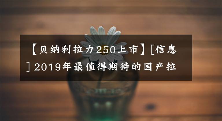 【貝納利拉力250上市】[信息] 2019年最值得期待的國產(chǎn)拉力賽！有你的真愛嗎？