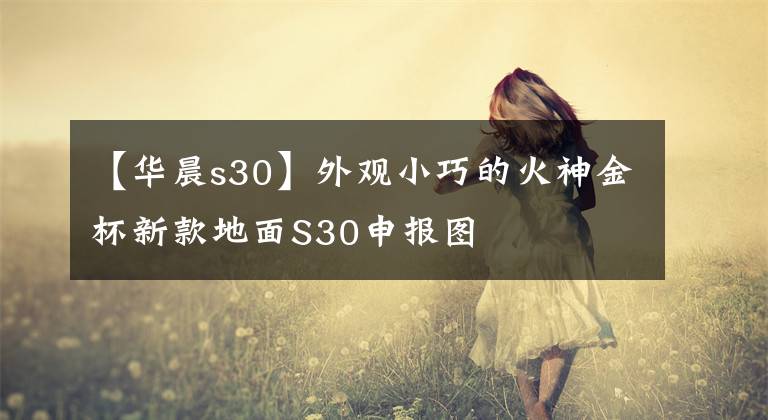 【華晨s30】外觀小巧的火神金杯新款地面S30申報(bào)圖