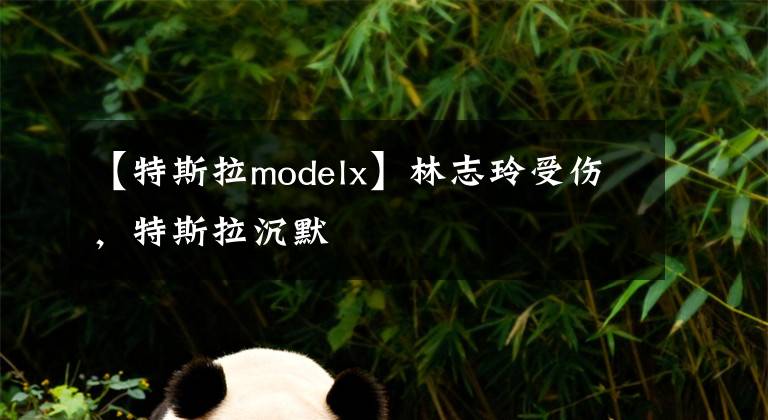 【特斯拉modelx】林志玲受傷，特斯拉沉默