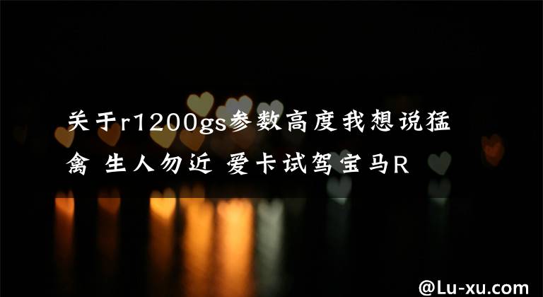 關(guān)于r1200gs參數(shù)高度我想說猛禽 生人勿近 愛卡試駕寶馬R 1200 GS