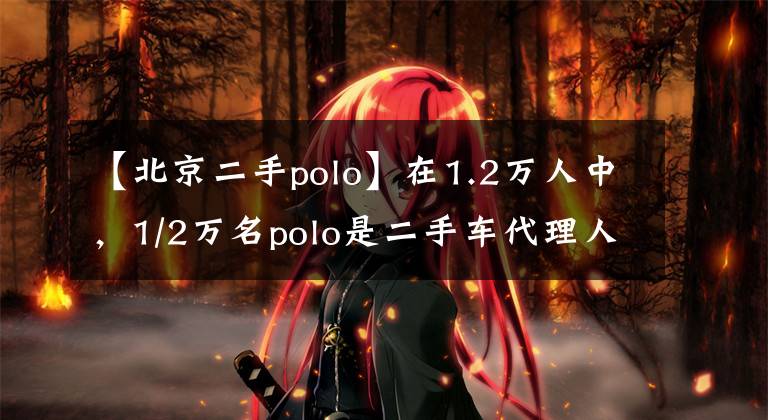 【北京二手polo】在1.2萬人中，1/2萬名polo是二手車代理人，很方便