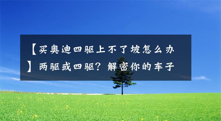 【買(mǎi)奧迪四驅(qū)上不了坡怎么辦】?jī)沈?qū)或四驅(qū)？解密你的車(chē)子為啥就爬不上坡！