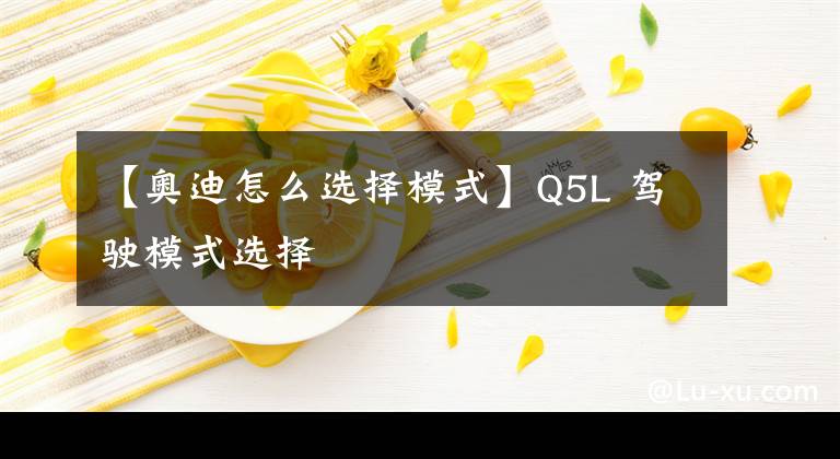 【奧迪怎么選擇模式】Q5L 駕駛模式選擇