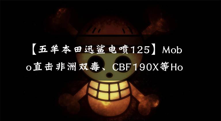 【五羊本田迅鯊電噴125】Mobo直擊非洲雙毒、CBF190X等Honda車型登上舞臺。