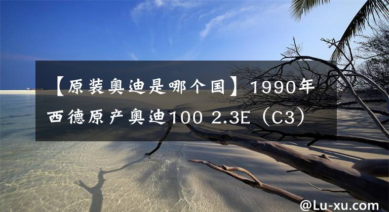 【原裝奧迪是哪個(gè)國】1990年西德原產(chǎn)奧迪100 2.3E（C3）