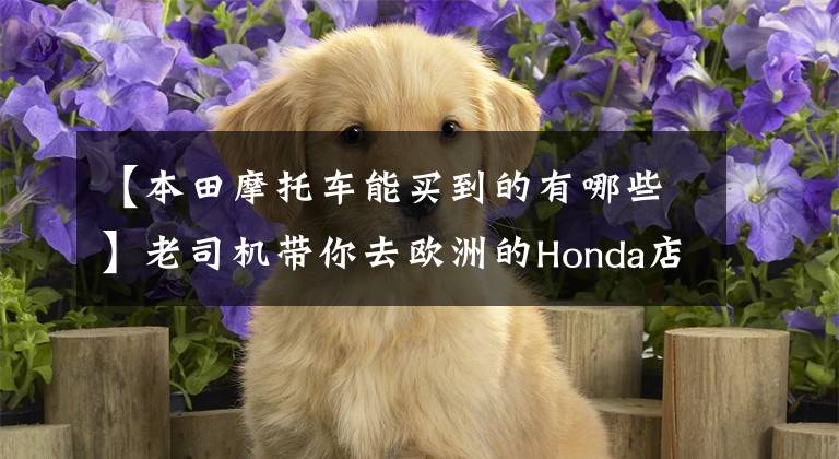 【本田摩托車能買到的有哪些】老司機帶你去歐洲的Honda店，看看你在賣什么類型的摩托車。