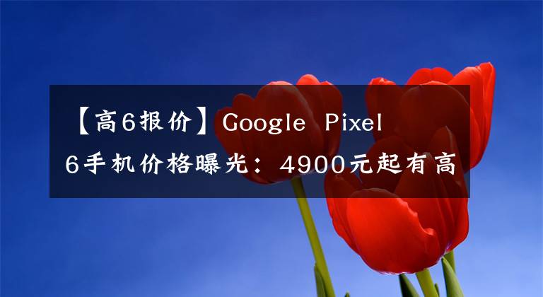 【高6報價】Google Pixel 6手機(jī)價格曝光：4900元起有高低之分。