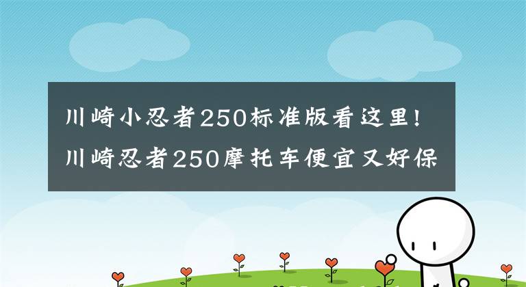 川崎小忍者250標準版看這里!川崎忍者250摩托車便宜又好保養(yǎng)