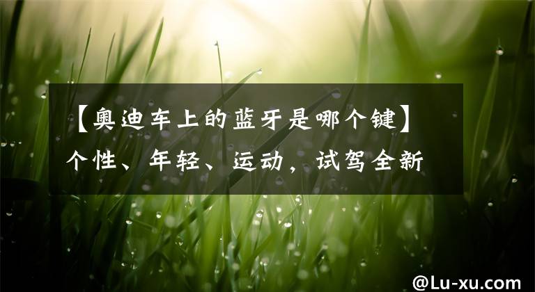 【奧迪車上的藍(lán)牙是哪個(gè)鍵】個(gè)性、年輕、運(yùn)動，試駕全新奧迪Q3！