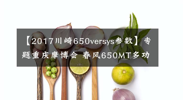 【2017川崎650versys參數(shù)】專題重慶摩博會(huì) 春風(fēng)650MT多功能旅行車實(shí)拍