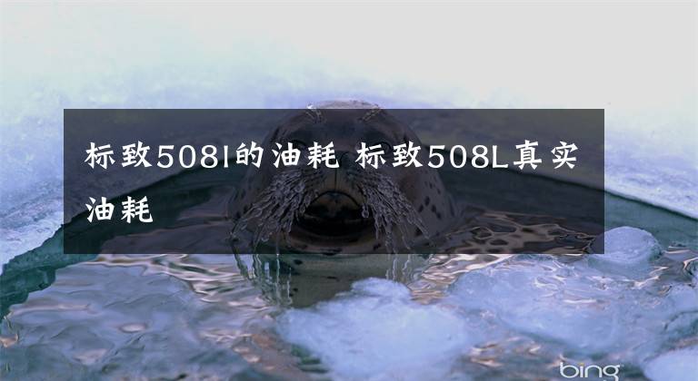 標(biāo)致508l的油耗 標(biāo)致508L真實(shí)油耗