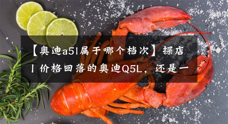 【奧迪a5l屬于哪個(gè)檔次】探店丨價(jià)格回落的奧迪Q5L，還是一線(xiàn)豪華守門(mén)員嗎？