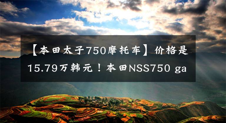 【本田太子750摩托車】價格是15.79萬韓元！本田NSS750 ga