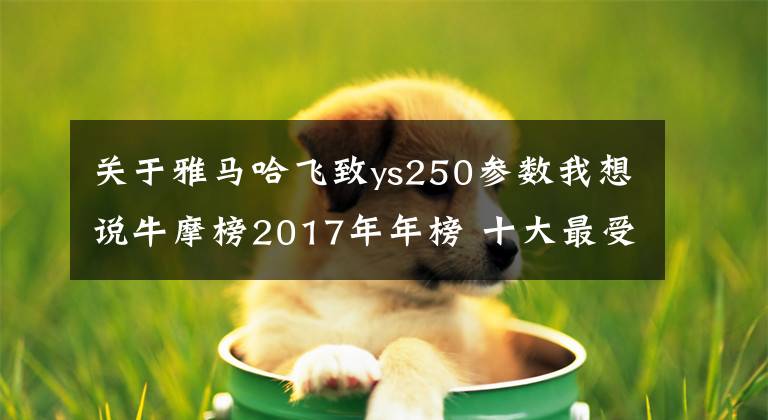 關(guān)于雅馬哈飛致ys250參數(shù)我想說牛摩榜2017年年榜 十大最受關(guān)注的跨騎車