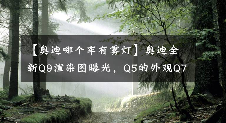 【奧迪哪個車有霧燈】奧迪全新Q9渲染圖曝光，Q5的外觀Q7的內(nèi)飾，還要搭配2.0T？