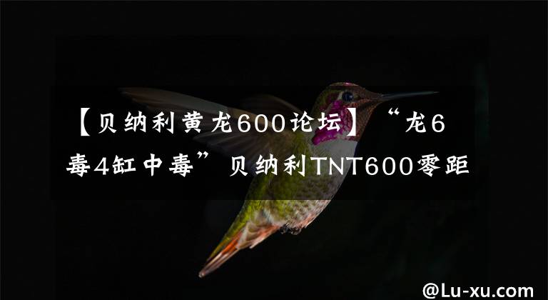 【貝納利黃龍600論壇】“龍6毒4缸中毒”貝納利TNT600零距離接觸