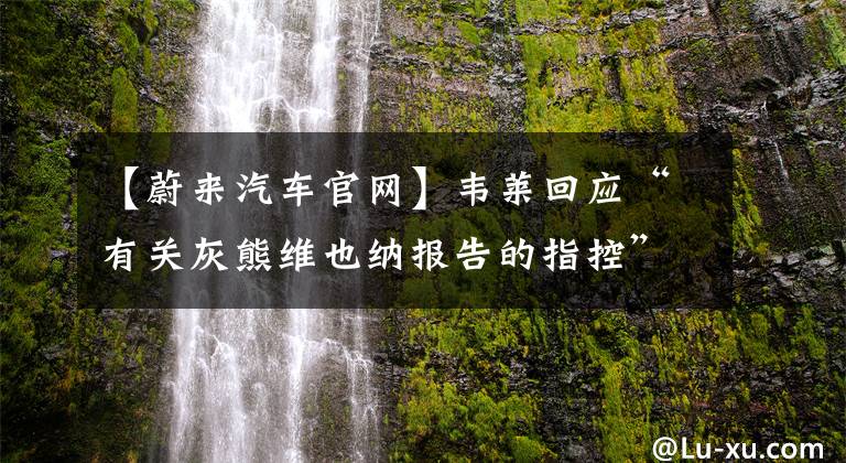 【蔚來汽車官網(wǎng)】韋萊回應(yīng)“有關(guān)灰熊維也納報告的指控”